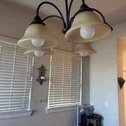 Five Pendant Light Shade 