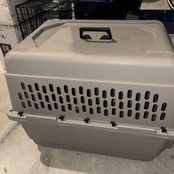 Pet Kennel 