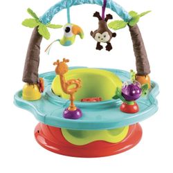 Bright Starts Baby / Infant Deluxe SuperSeat