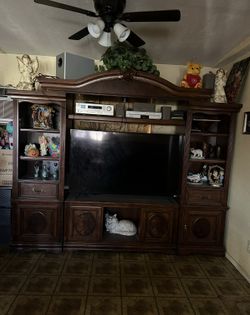 TV stem