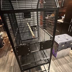 Bird Cage For Sale 