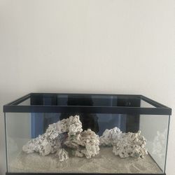 Reef Ready 40 Breeder 