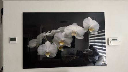 Large White Orchid acrílic wall