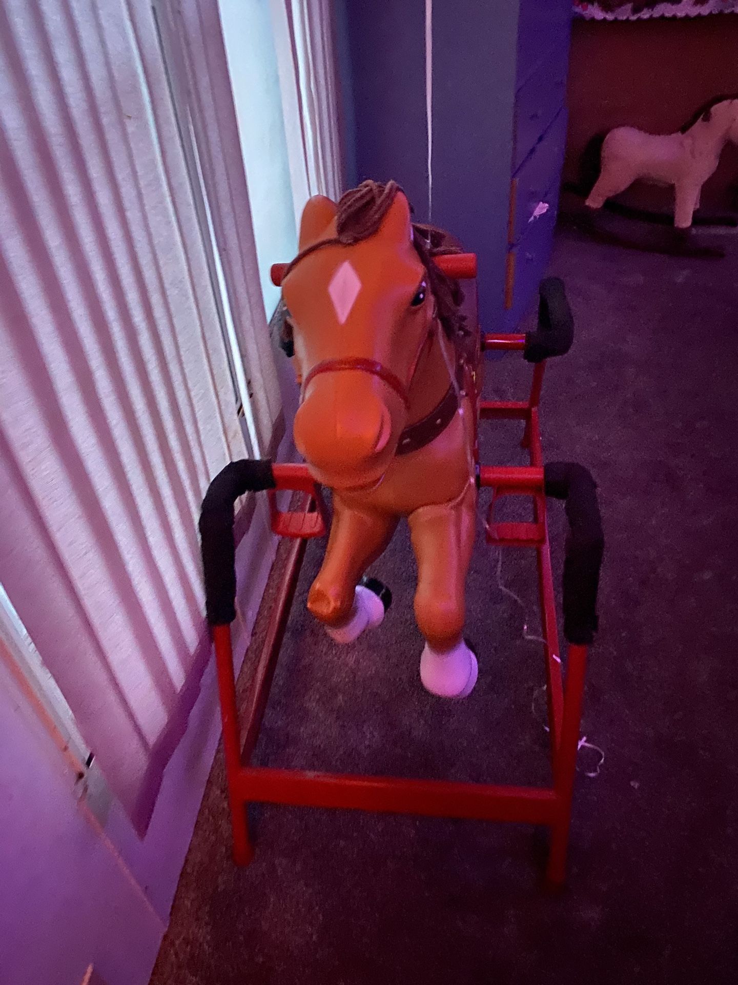 Horse Ride