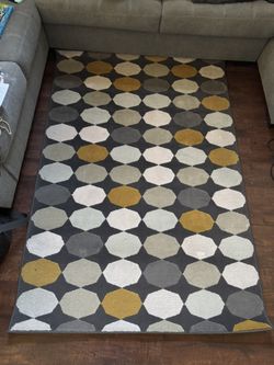 Lightly Used Rug