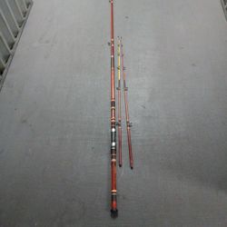 Caña Marca Daiwa De 9 Pies 