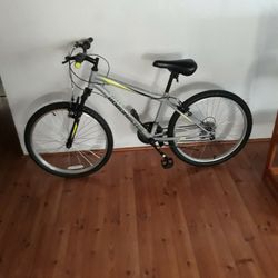 RoadMaster Bike