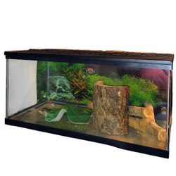 Reptile Tank