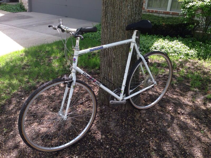 Mongoose Dynametric