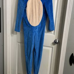 Sonic Costume