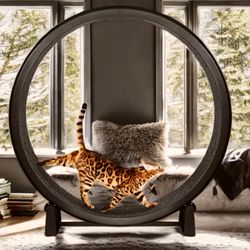 Cat Exercise Wheel
