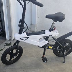 2 Foldable Electric Bike 