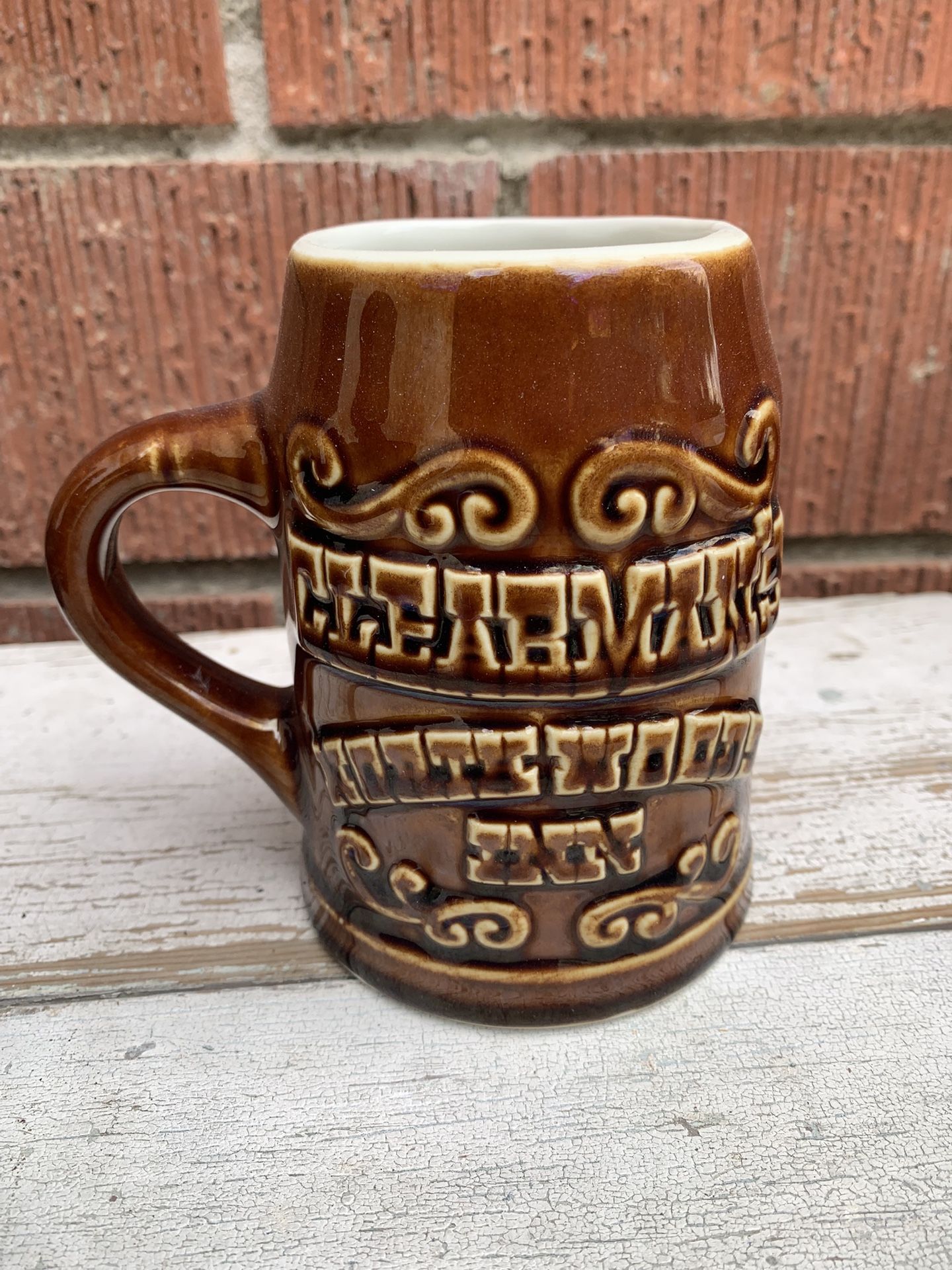 Vintage Northwoods Inn Mug By Hall