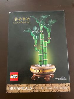 Botanicals Lucky Bamboo