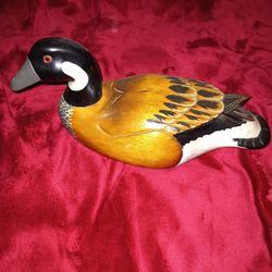 Duck Decoy