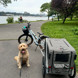 Pet Bike Trailer & Stroller plus luxury pet mattress for Large Dog