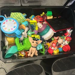 Kids Toys 