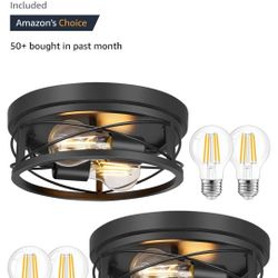2 Light Black Flush Mount Celing Light