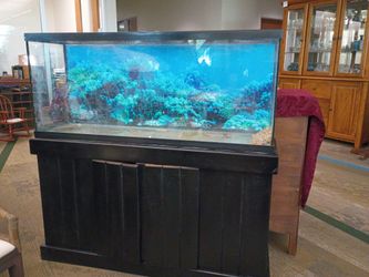 Aquariums