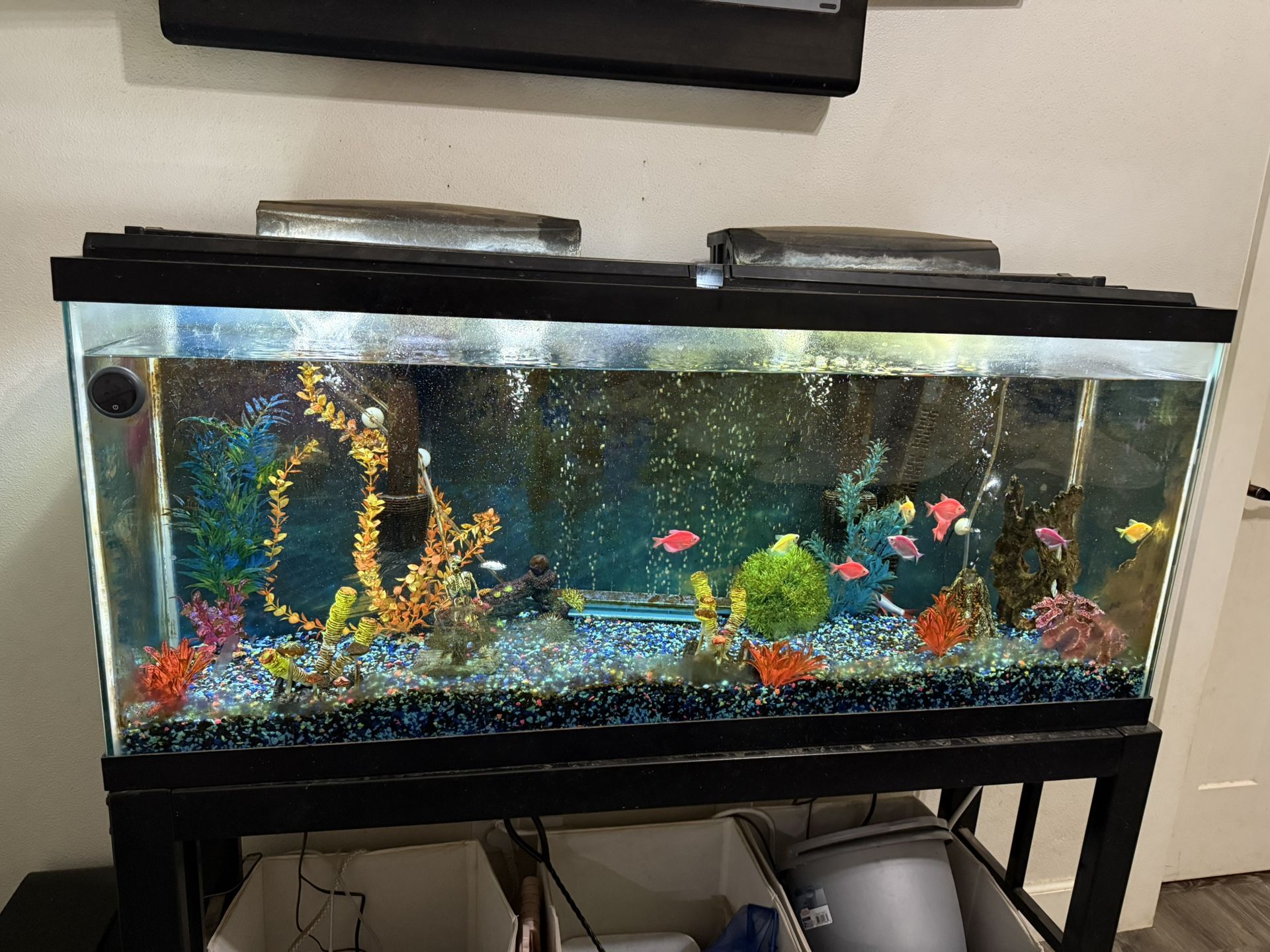 55 Gallon Fish Tank With Everything