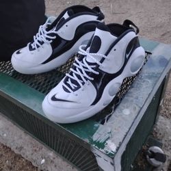 Nike Air Zooms