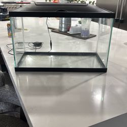 10 Gallon Fish Tank