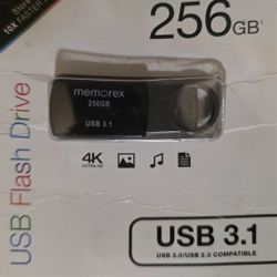Memorex Flashdrive 256gb