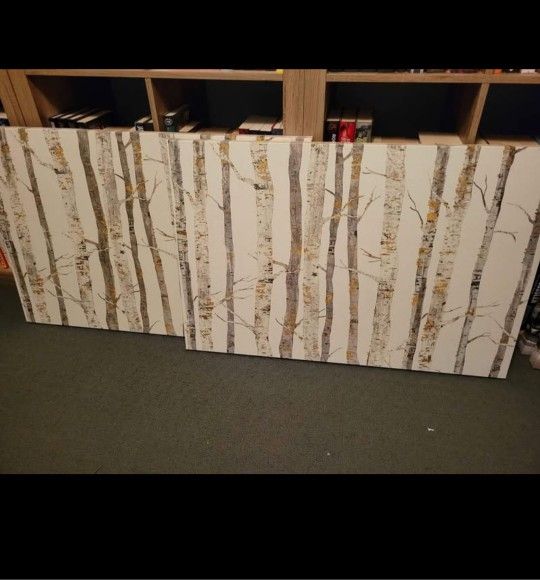 Birch Canvases