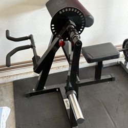 Preacher Curl