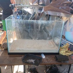 Fish Tank For Sale