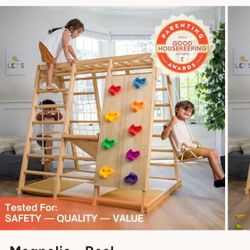 Modern Indoor Wood Playground