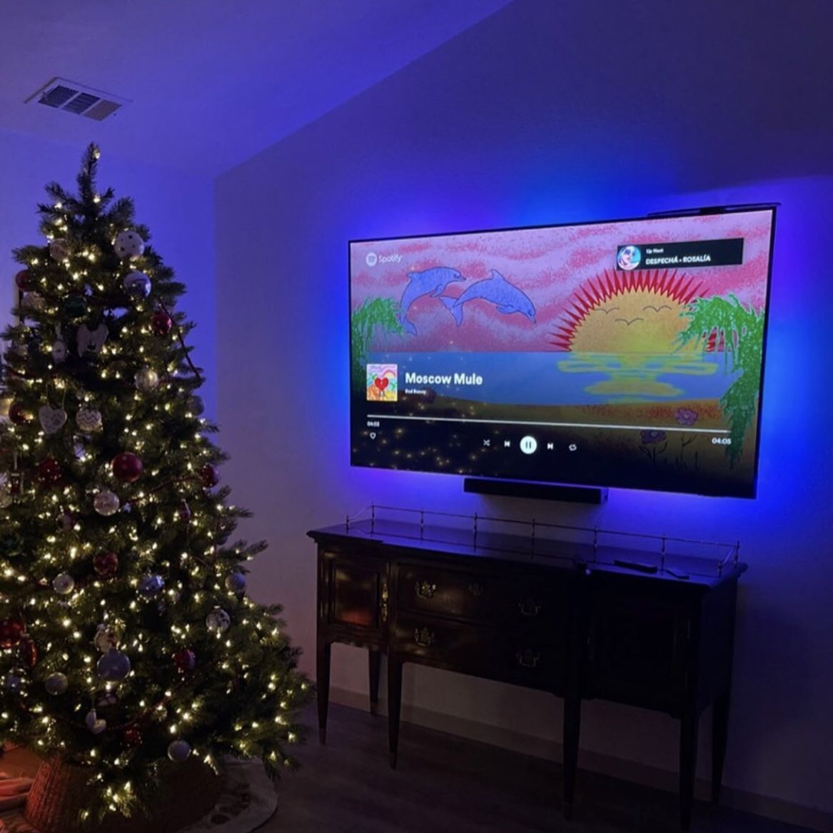 TV MOUNT