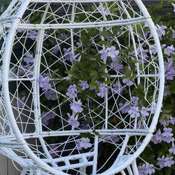 Wellington Egg Chair - Teardrop Chair