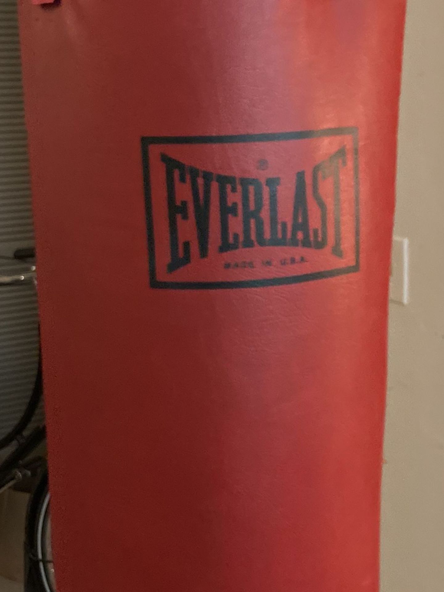 Everlast Punching Bag + Gloves