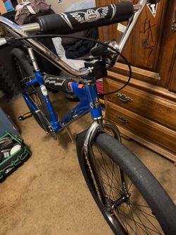 29in se  big ripper bmx