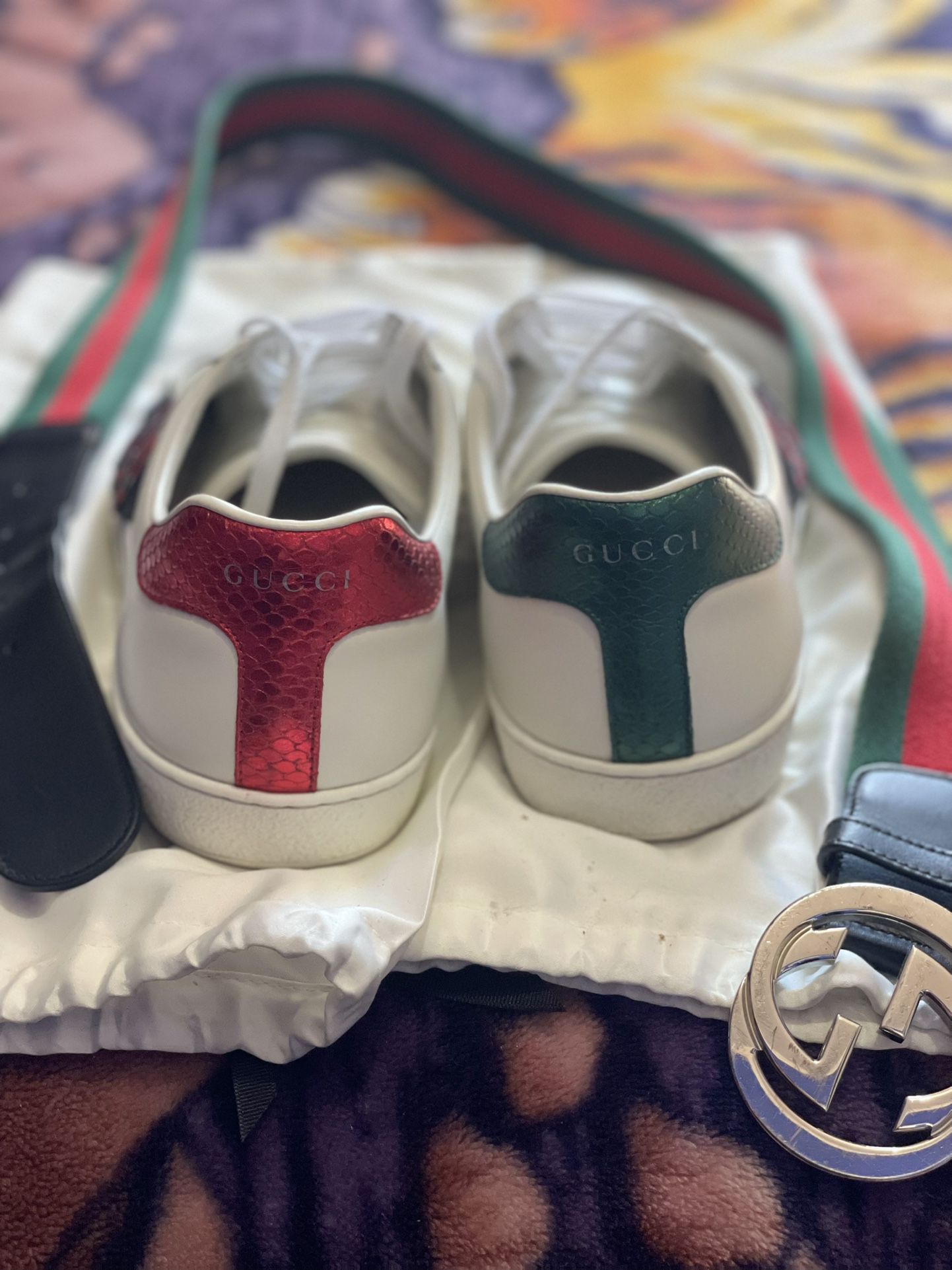 10.5, White Snake Gucci sneakers, Free Gucci Belt