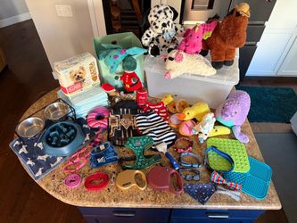 46 Dog items! Clothing, toys, bowls, storage & more