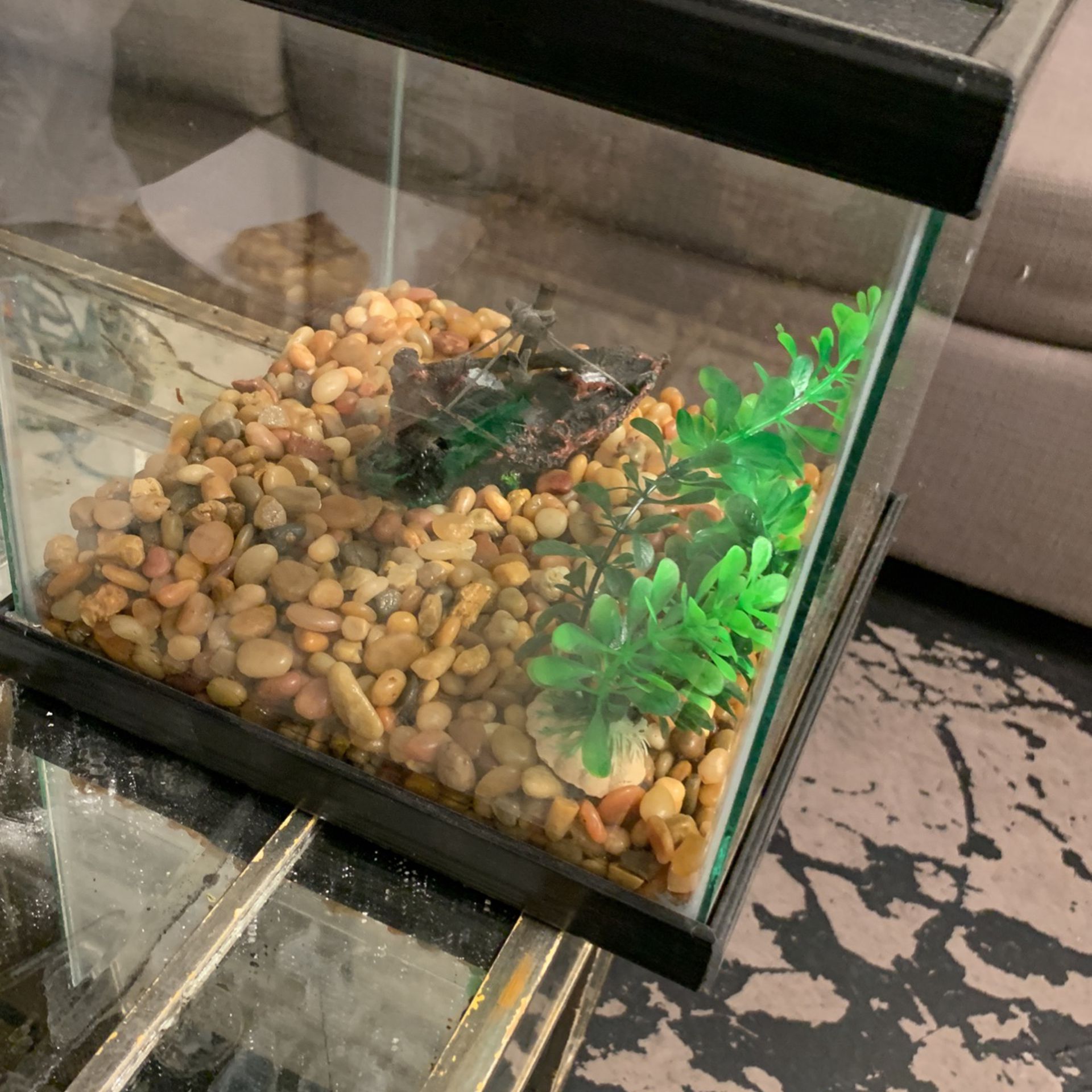 Small Fish Tank With Ship And Rocks