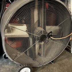 Big Fan