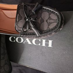 Coach Moira Signature Jacquard Loafer