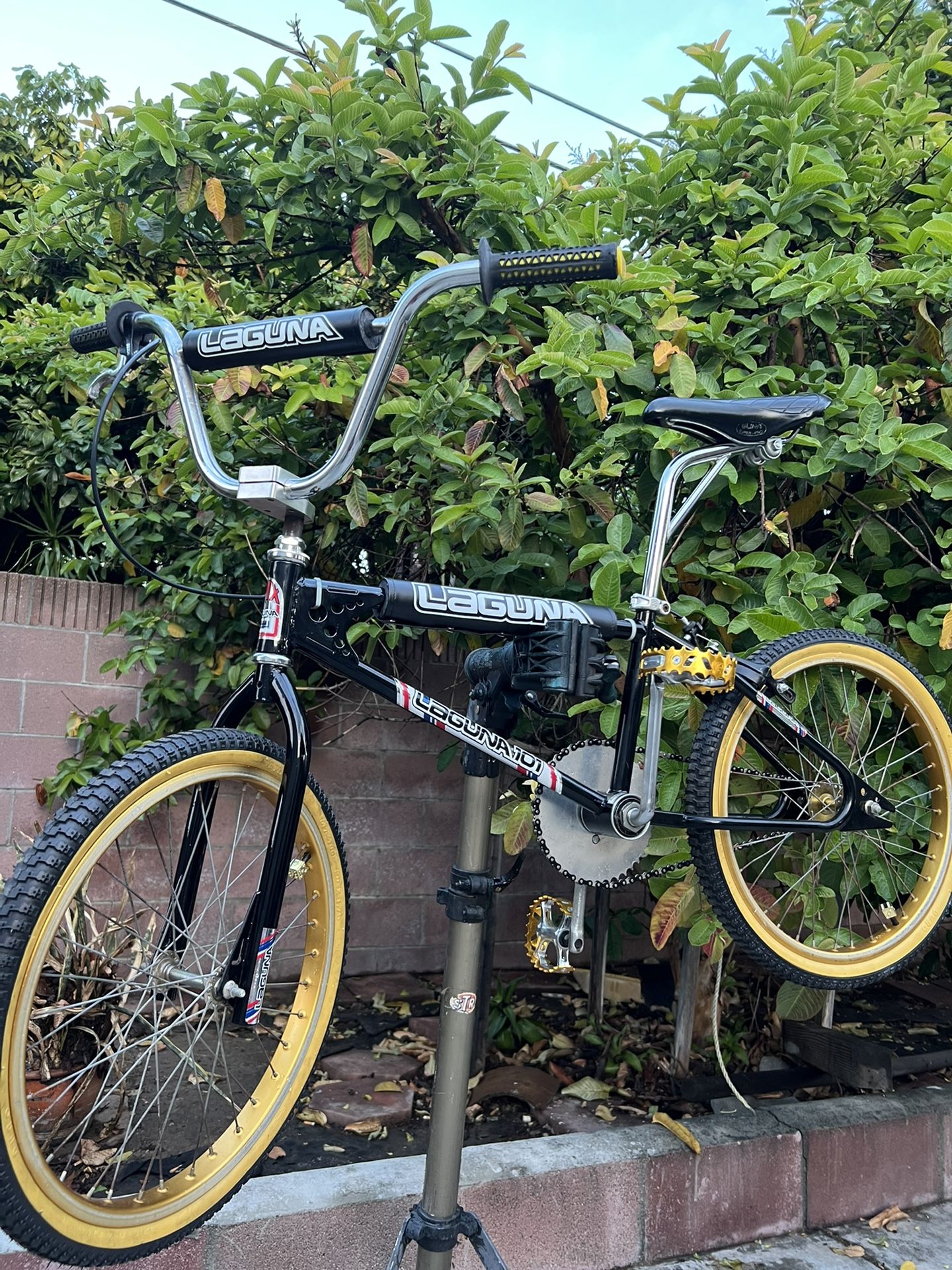 Rare Old School Vintage BMX 1979 20” LAGUNA 101/Araya/Tuf