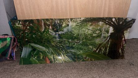 Wall paper for reptile enclosure