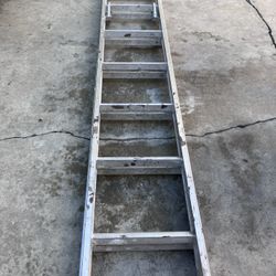 Werner Ladder