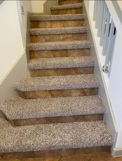 Carpet / Alfombra