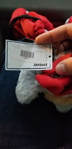 Kansas City backpack pal!