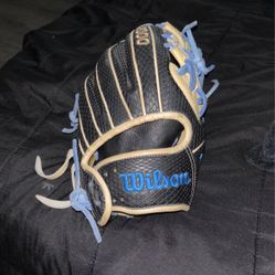 A2000 Baseball Glove