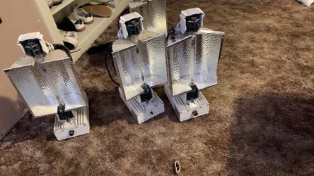 4 grow lights n bulbs
