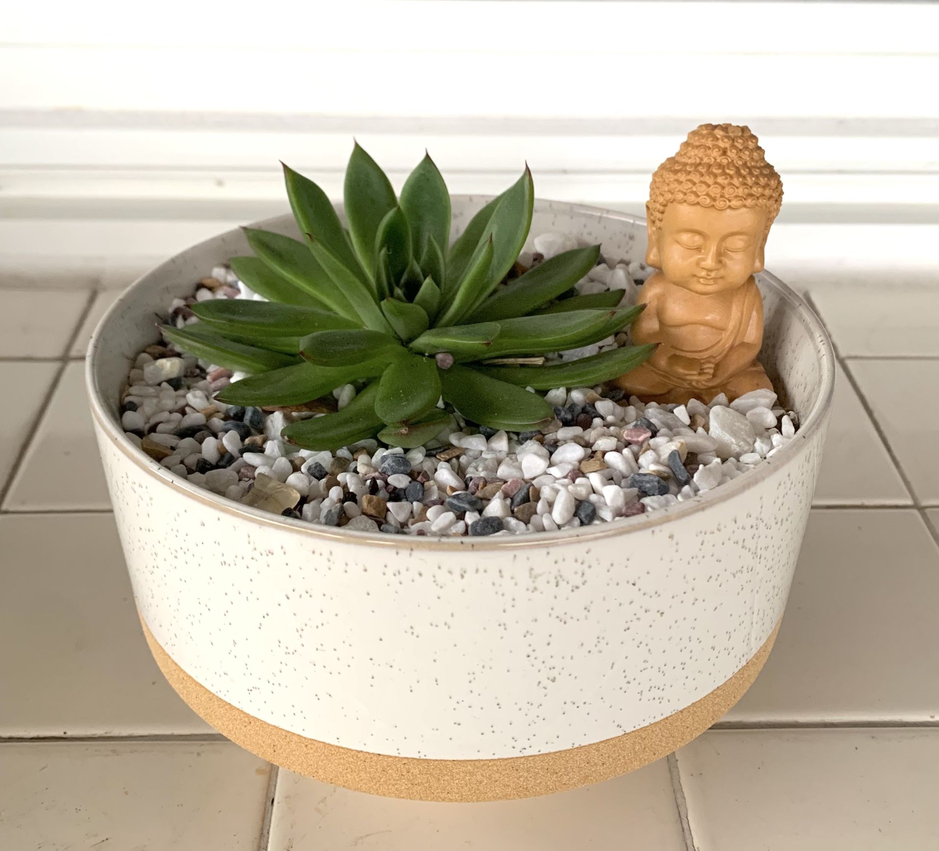 Wax Agarve Succulent Arrangement 🪴Please Read Description 🪴 Please see all listings 🪴