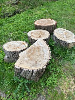 Fire wood