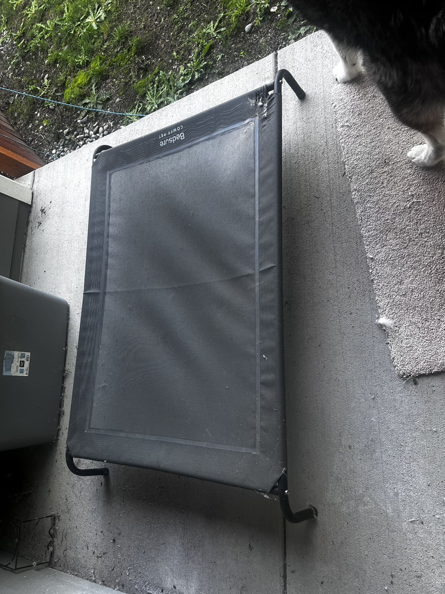 Elevated Dog Bed